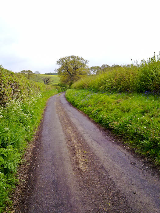 lakegate lane Ryme Intrinseca Dorset Dorsetcamera