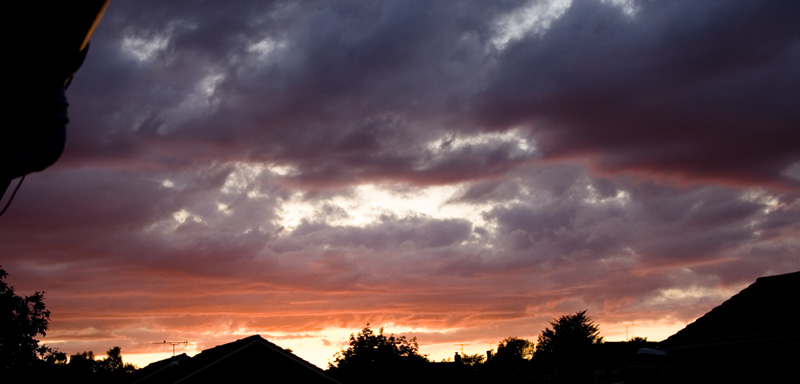 IMG_2008 cropped