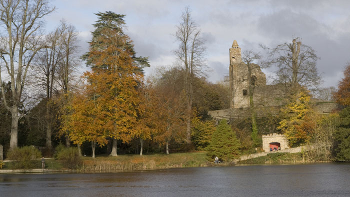IMG_3893