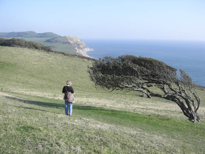 Golden Cap Dorset Dorsetcamera  Coastal Path Walk