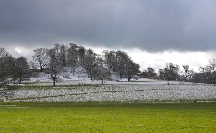 _MG_0203