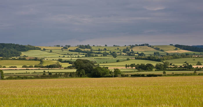 Yeo Valley Bradford Abbas Dorset