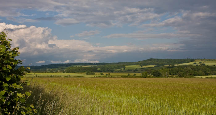 Yeo Valley Sherborne Dorset