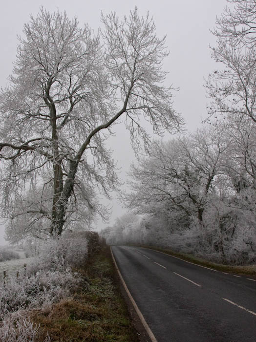 Dorsetcamera Gales Hill Dorset