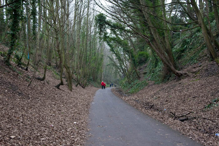 Dorsetcamera Rodwell Trail Weymouth Dorset