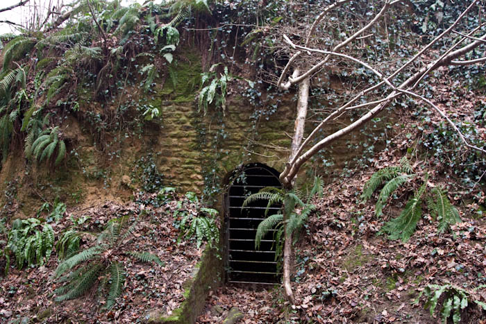 Stallen Nether Compton Dorset Dorsetcamera