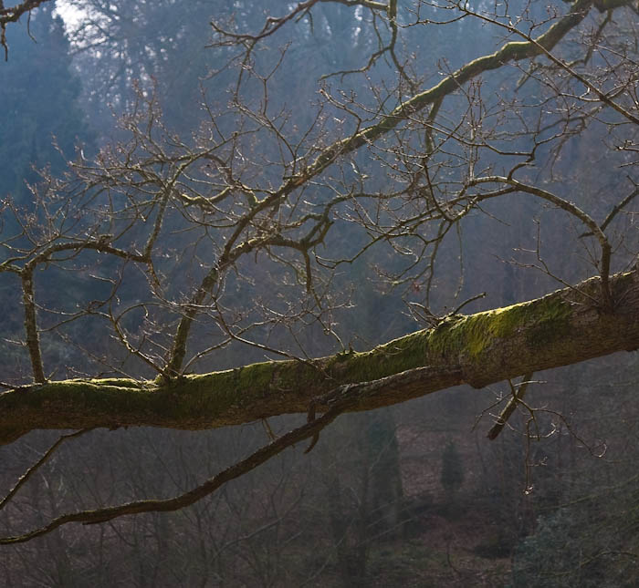 Stourhead Gardens Wiltshire Dorsetcamera