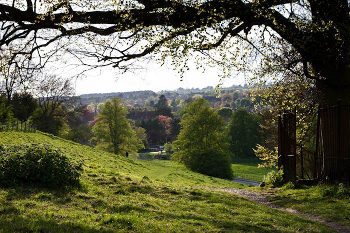 Sherborne Dorset Dorsetcamera