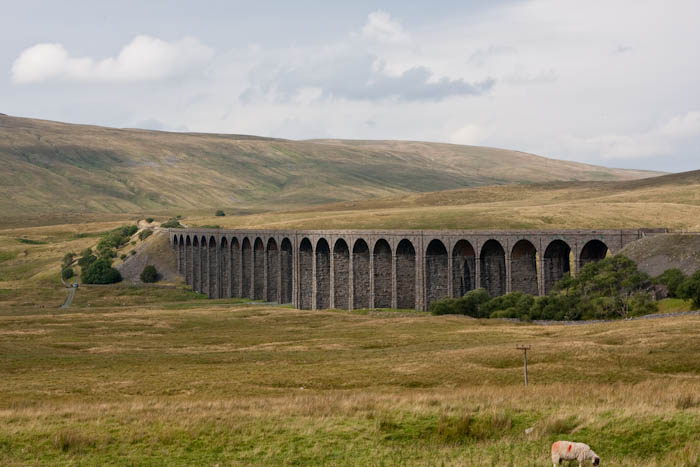 Ribbleshead  Viaduct Yorkshire Dorsetcamera