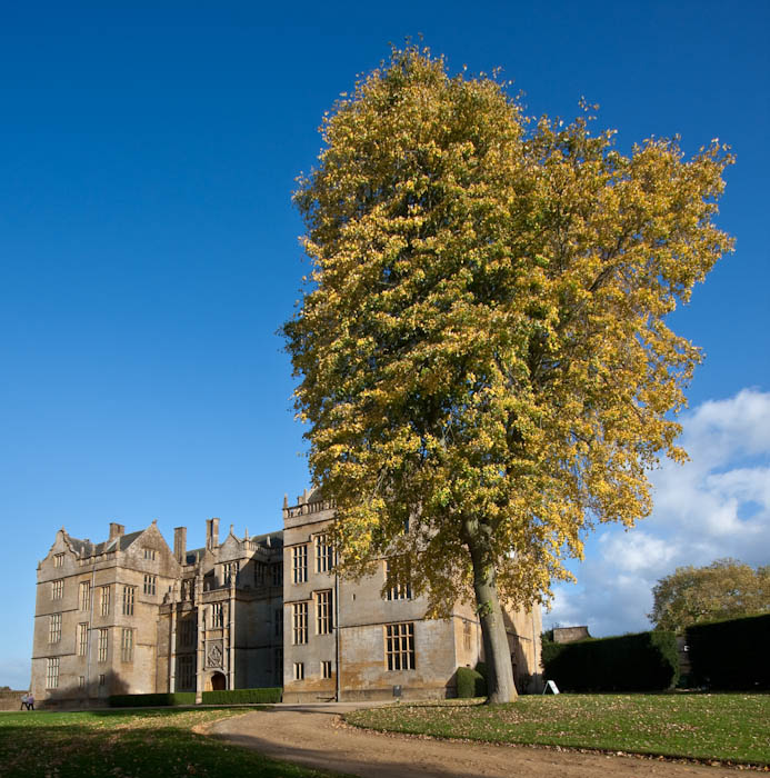 Montacute Somerset Dorsetcamera