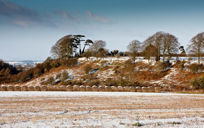Sherborne Dorset Dorsetcamera