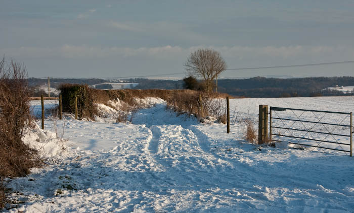 Sherborne Dorset Dorsetcamera