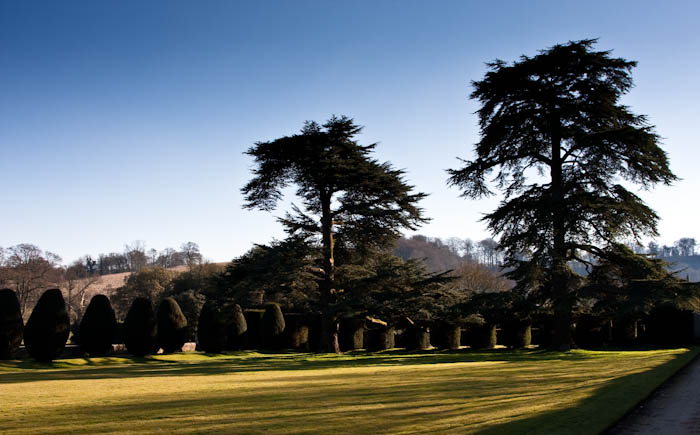 Montacute House Somerset National Trust Dorsetcamera