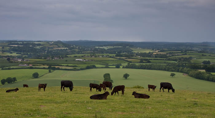 Win Green Hill Shaftesbury Dorset Dorsetcamera