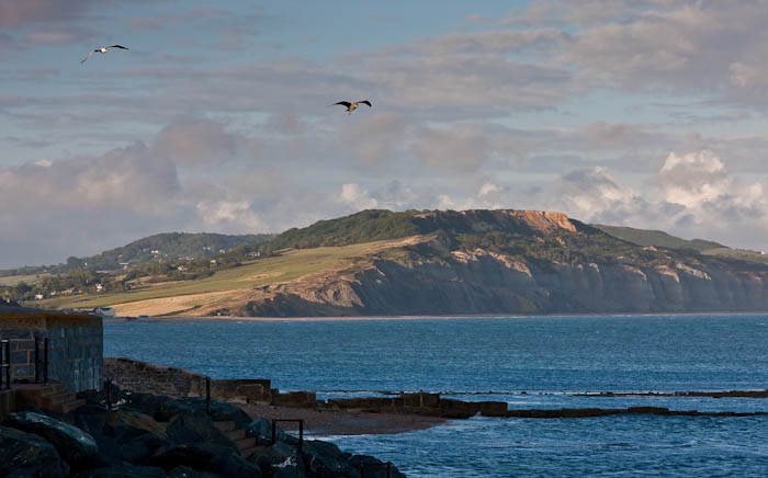 Lyme Regis Dorset Dorsetcamera