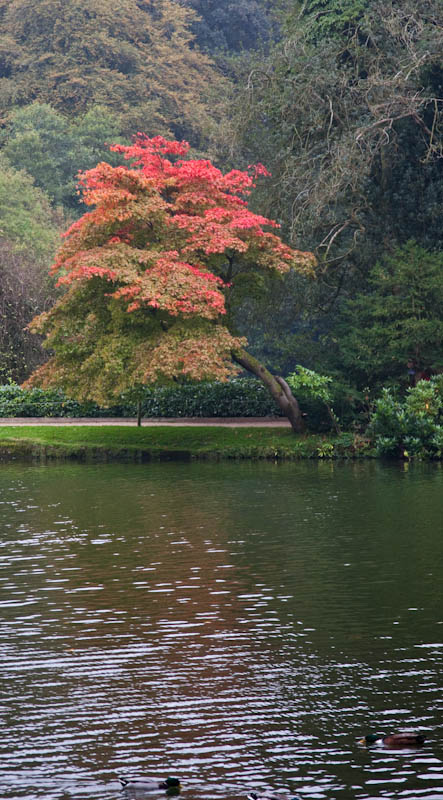 Stourhead Garden National Trust Wiltshire Dorsetcamera