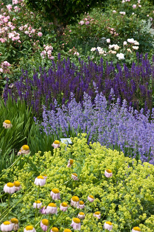 Mottisfont Abbey Hampshire Dorsetcamera