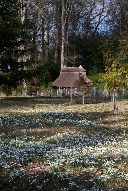 Kingston Lacy National Trust Dorset Dorsetcamera