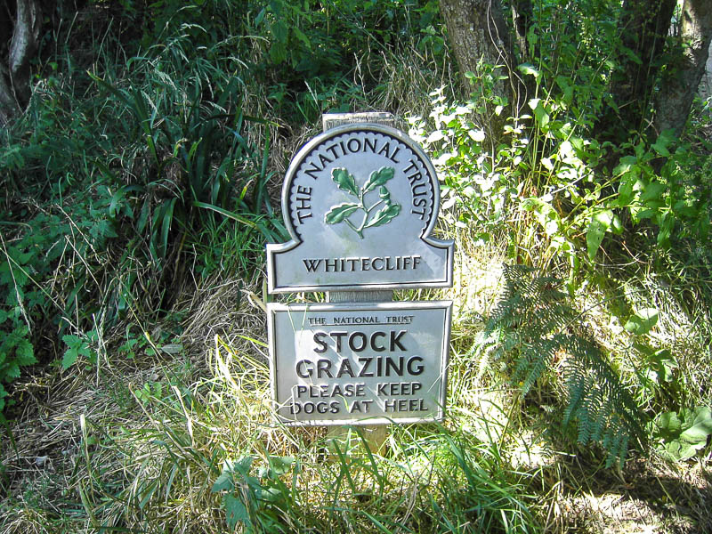 Dorsetcamera Swanage Coastpath Walk Dorset