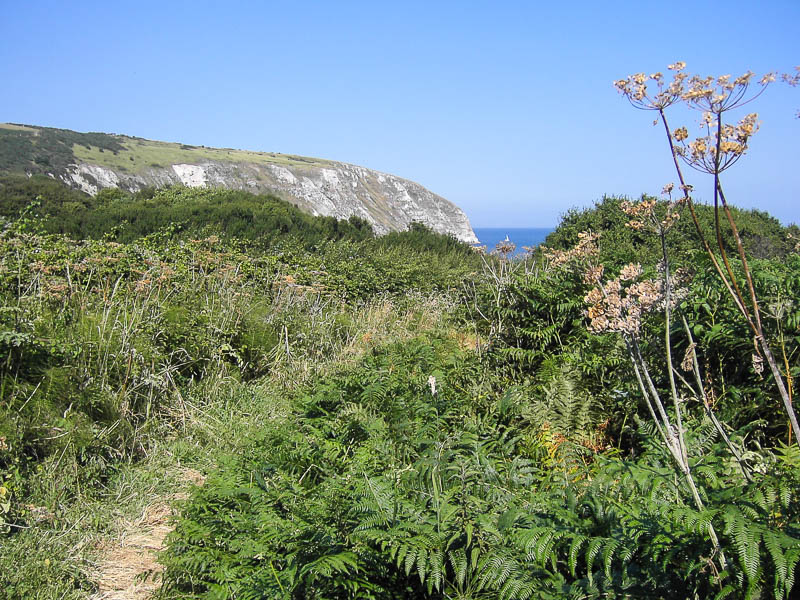 Dorsetcamera Swanage Coastpath Walk Dorset