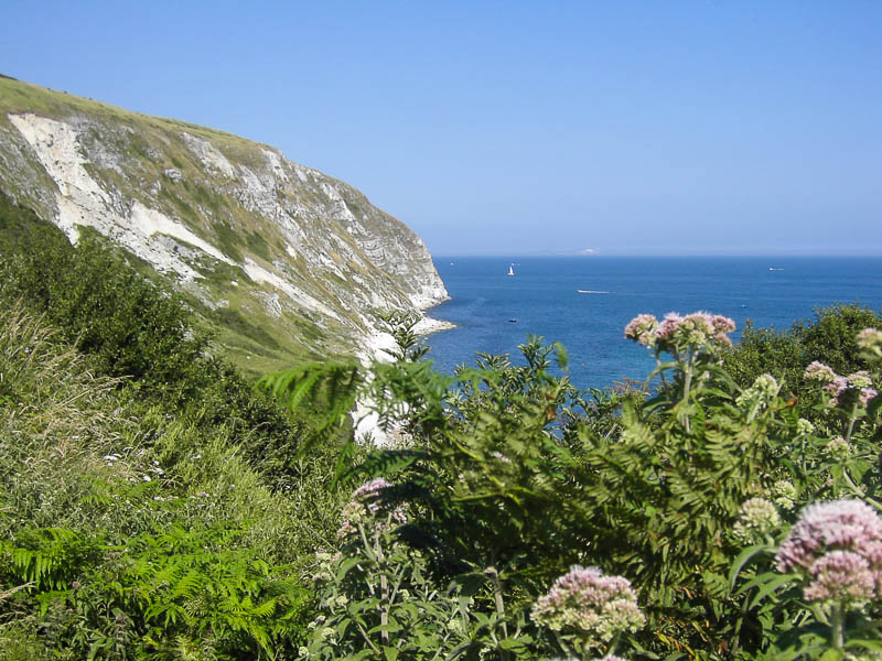Dorsetcamera Swanage Coastpath Walk Dorset