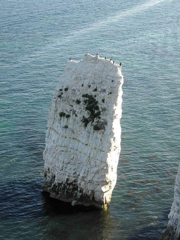 Dorsetcamera Swanage Coastpath Walk Dorset