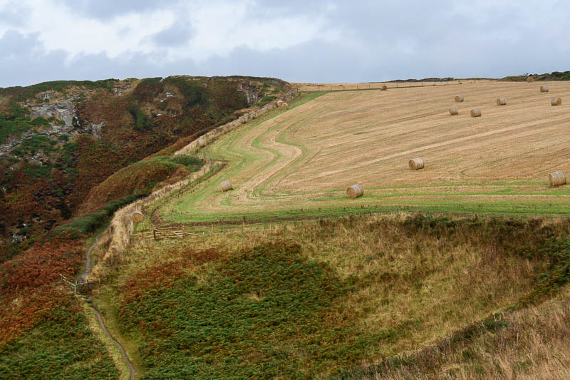 Pentire St Minver Cornwall Dorsetcamera