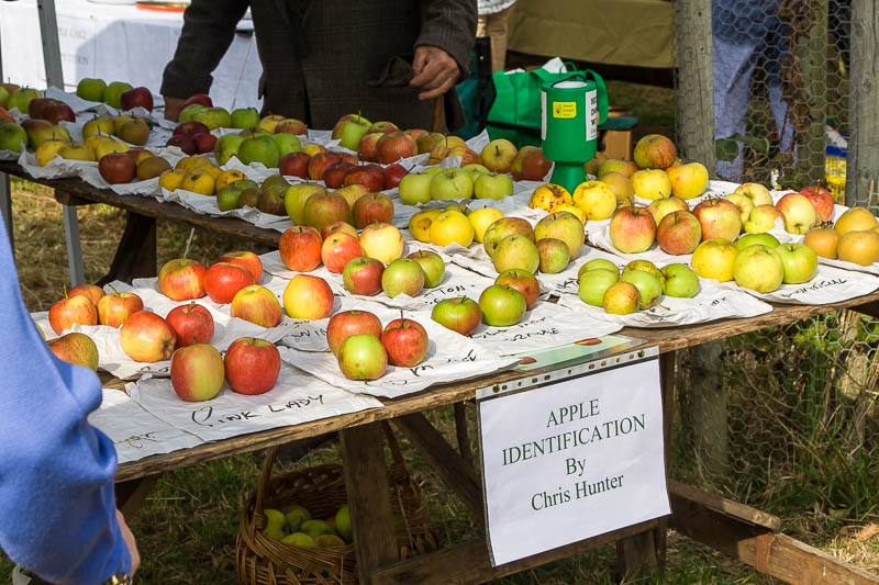 Broad Oak Apple day Sturminster Newton Dorset Dorsetcamera