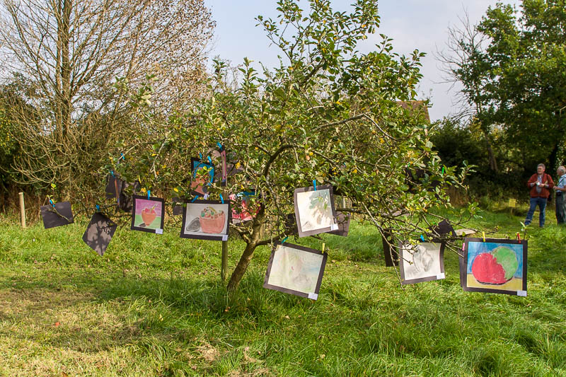 Broad Oak Apple day Sturminster Newton Dorset Dorsetcamera