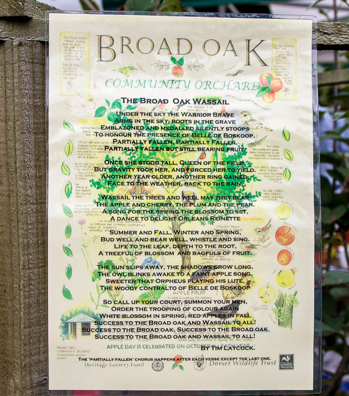 Broad Oak Apple day Sturminster Newton Dorset Dorsetcamera