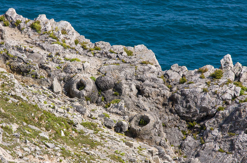 Lulworth Dorset Dorsetcamera Coastpath