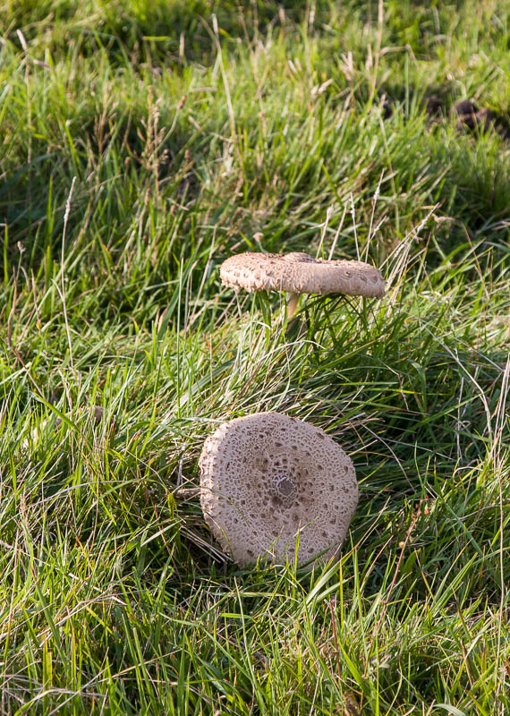 Lulworth Dorset Dorsetcamera Coastpath