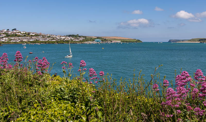 Padstow Cornwall Dorsetcamera