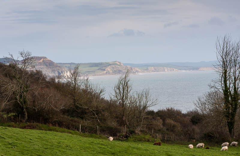 Lyme Regis Dorset Dorsetcamera