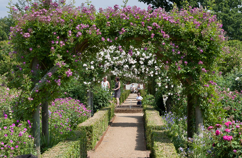 Mottisfont, Hampshire, Dorsetcamera