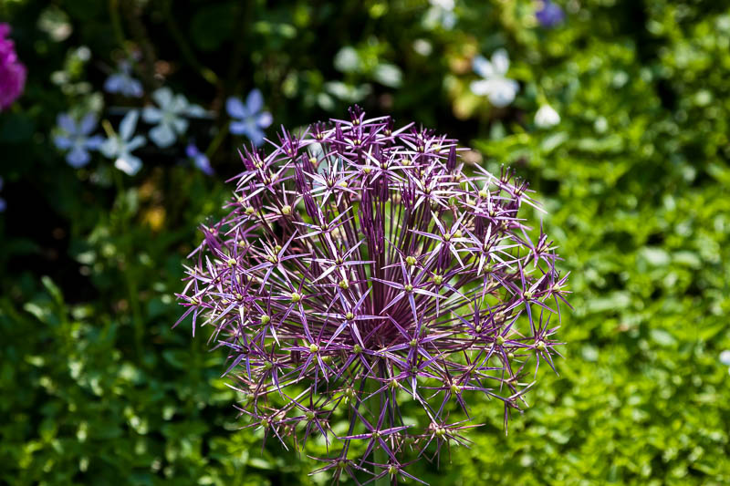 Mottisfont, Hampshire, Dorsetcamera