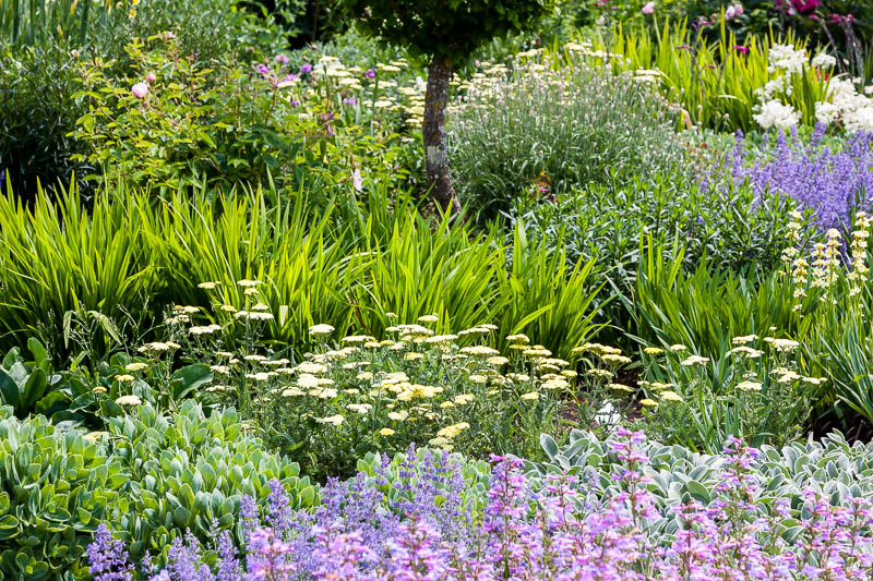 Mottisfont, Hampshire, Dorsetcamera