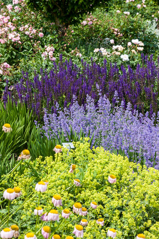 Mottisfont, Hampshire, Dorsetcamera
