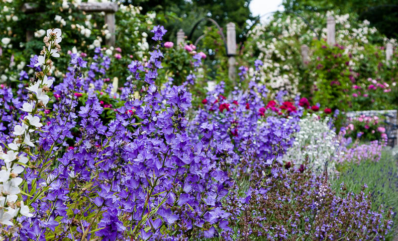 Mottisfont, Hampshire, Dorsetcamera