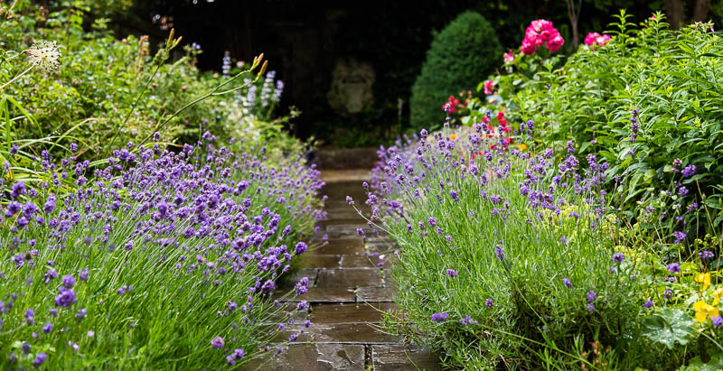 Salisbury Wiltshire Dorsetcamera