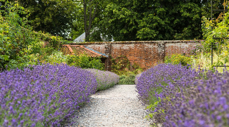 Mottisfont, Hampshire, Dorsetcamera