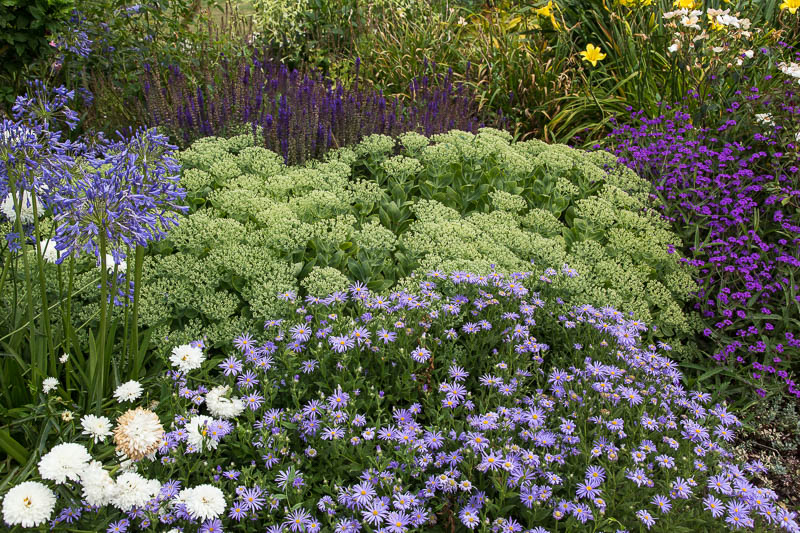 Mottisfont, Hampshire, Dorsetcamera