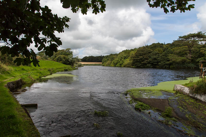 Ardwell Dumfries and Galloway Scotland Dorsetcamera