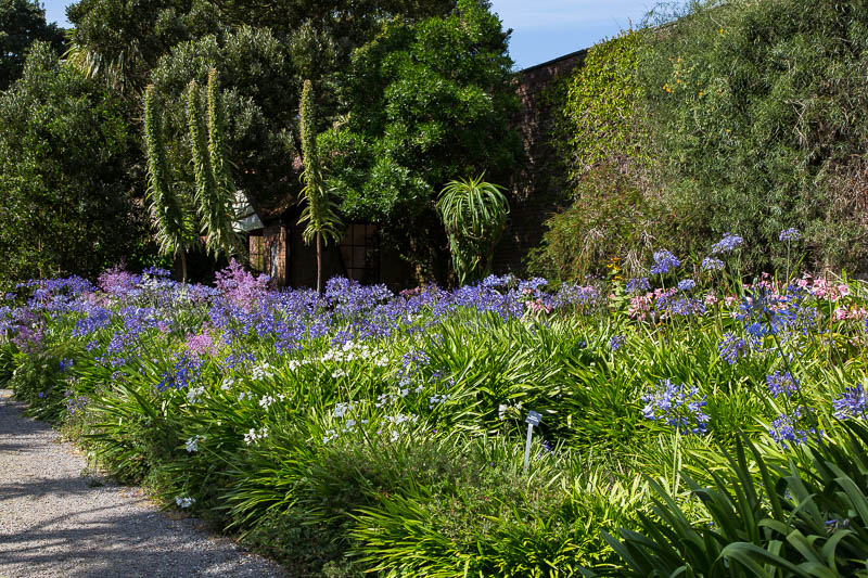 Logan Botanic Gardens Dumfries and Galloway Scotland Dorsetcamera