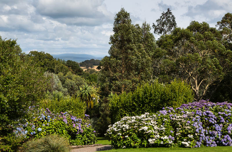 Logan Botanic Gardens Dumfries and Galloway Scotland Dorsetcamera