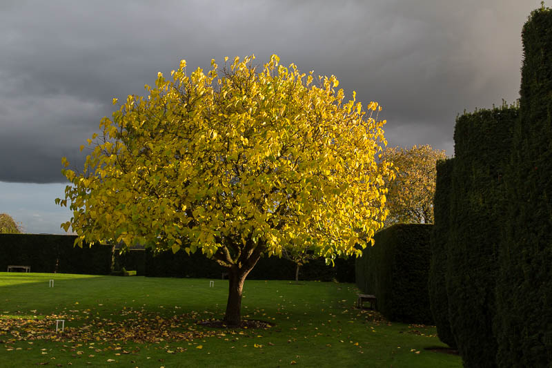 Lytes Cary Somerset National Trust Dorsetcamera