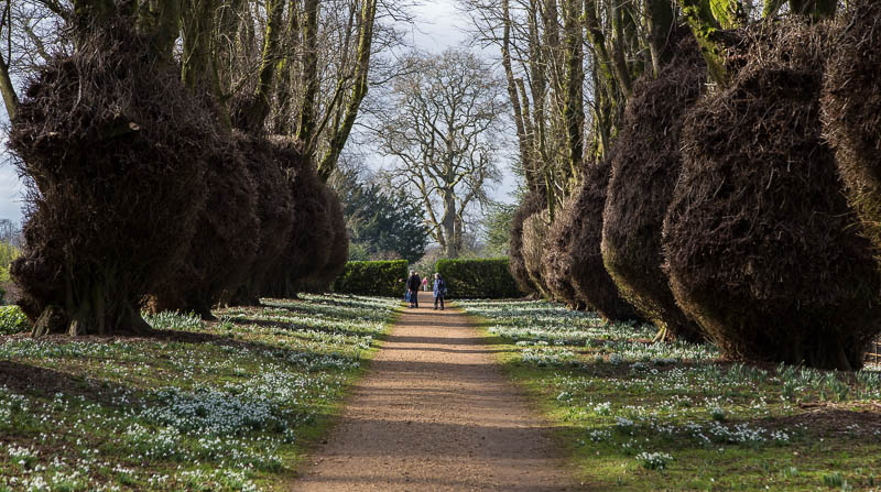 Kingston Lacy National Trust Dorset Dorsetcamera
