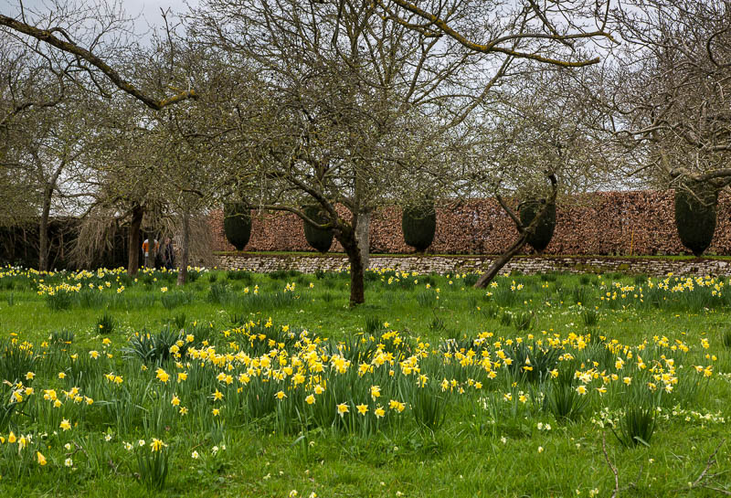 Lytes Cary Somerset National Trust Dorsetcamera