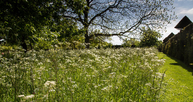 Lytes Cary Somerset National Trust Dorsetcamera