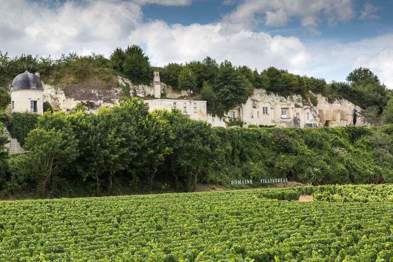 Saumur France Dorsetcamera